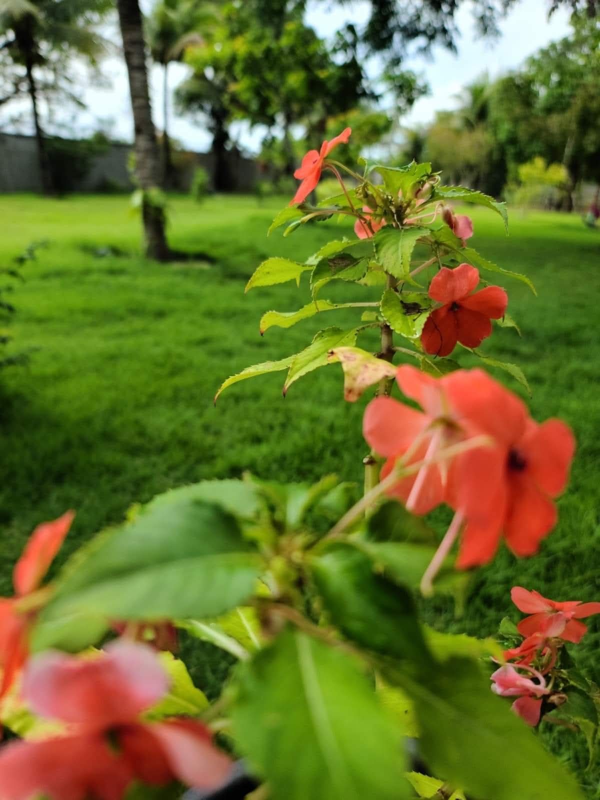 FB_IMG_1767283094110