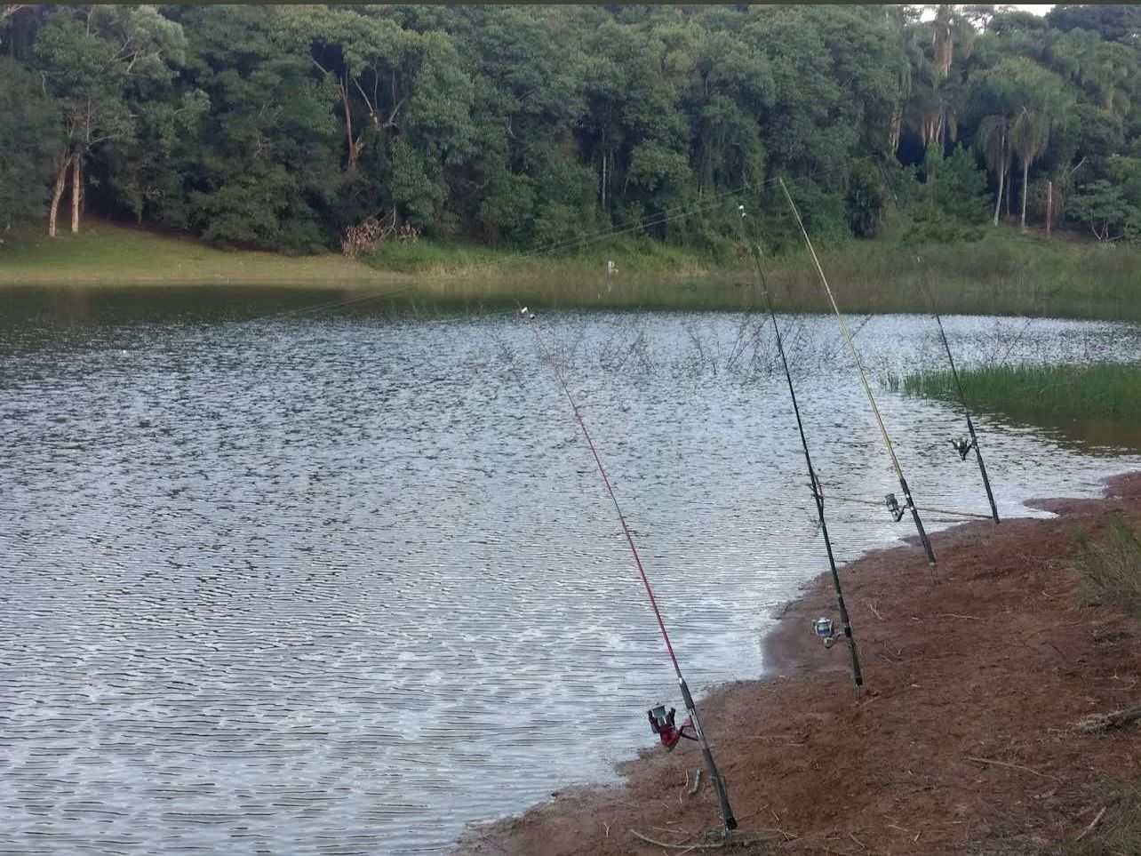 WhatsApp Image 2026-01-27 at 00.59.11