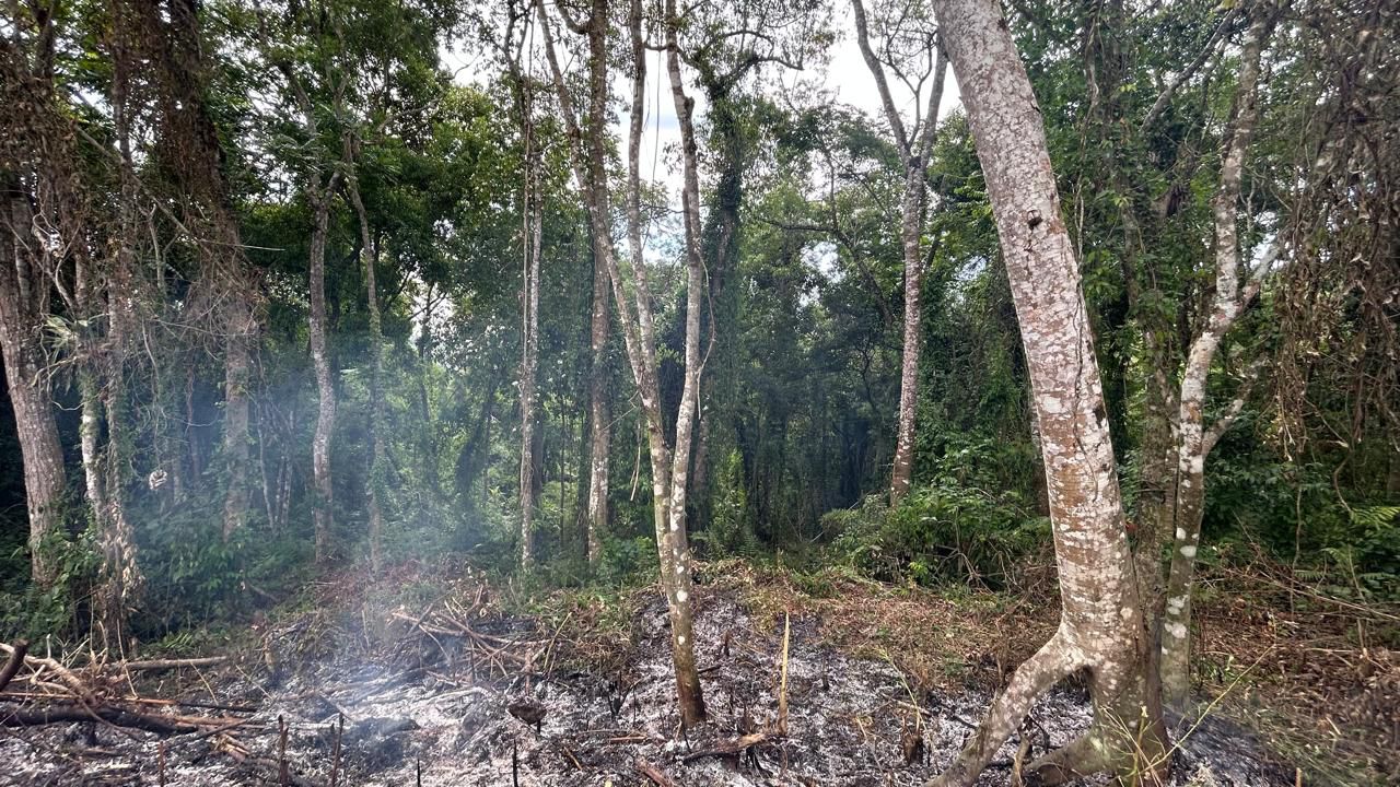 WhatsApp Image 2026-01-27 at 00.59.22 (6)