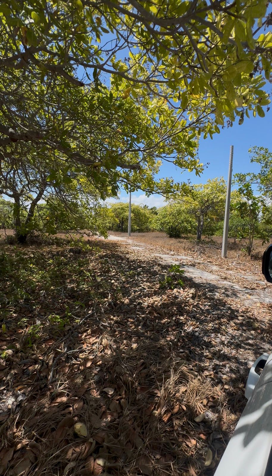 WhatsApp Image 2026-01-20 at 09.48.00 (1)