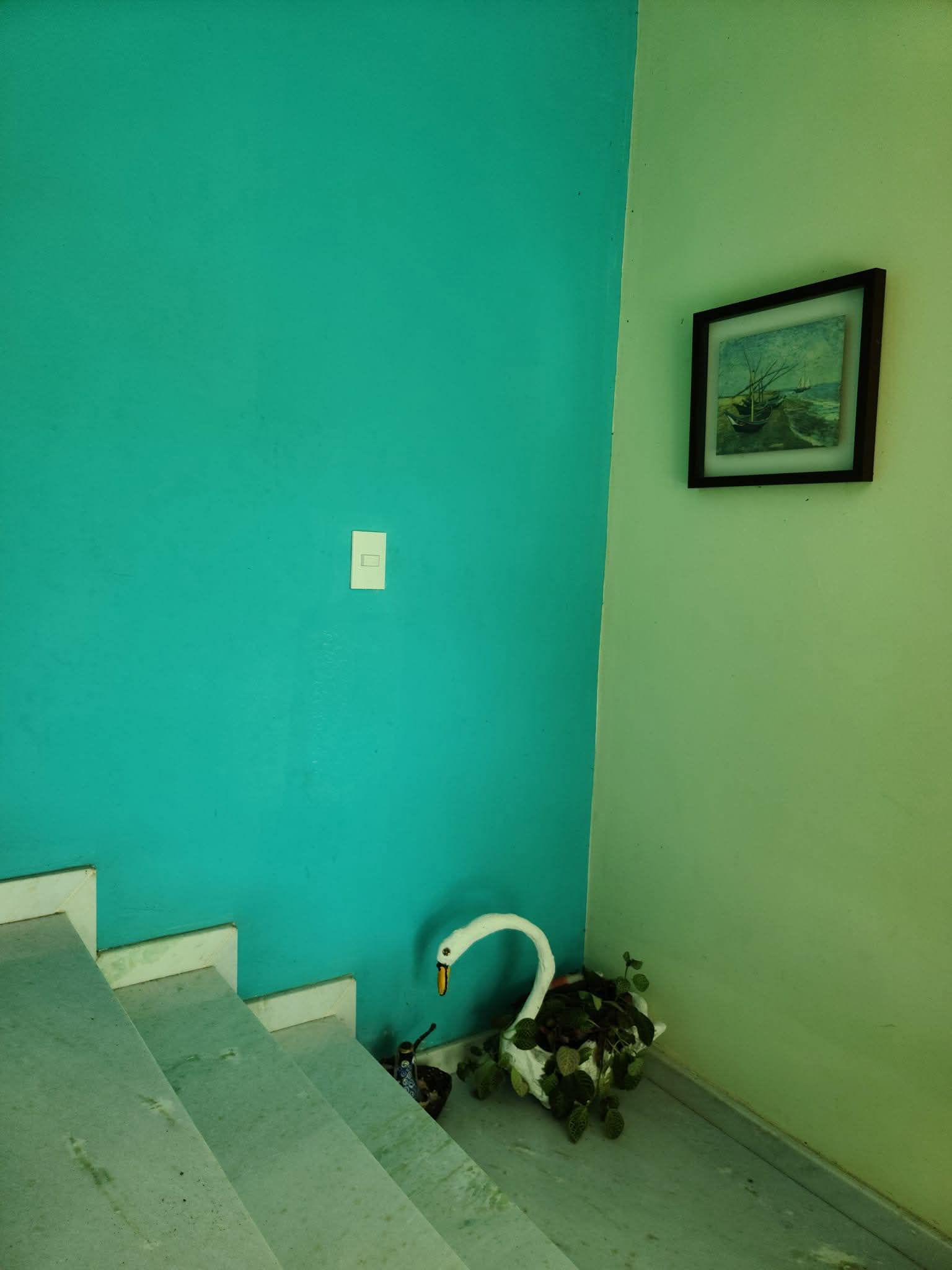 FB_IMG_1769452244877