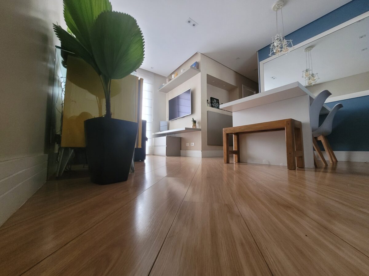 WhatsApp Image 2026-02-19 at 16.16.53