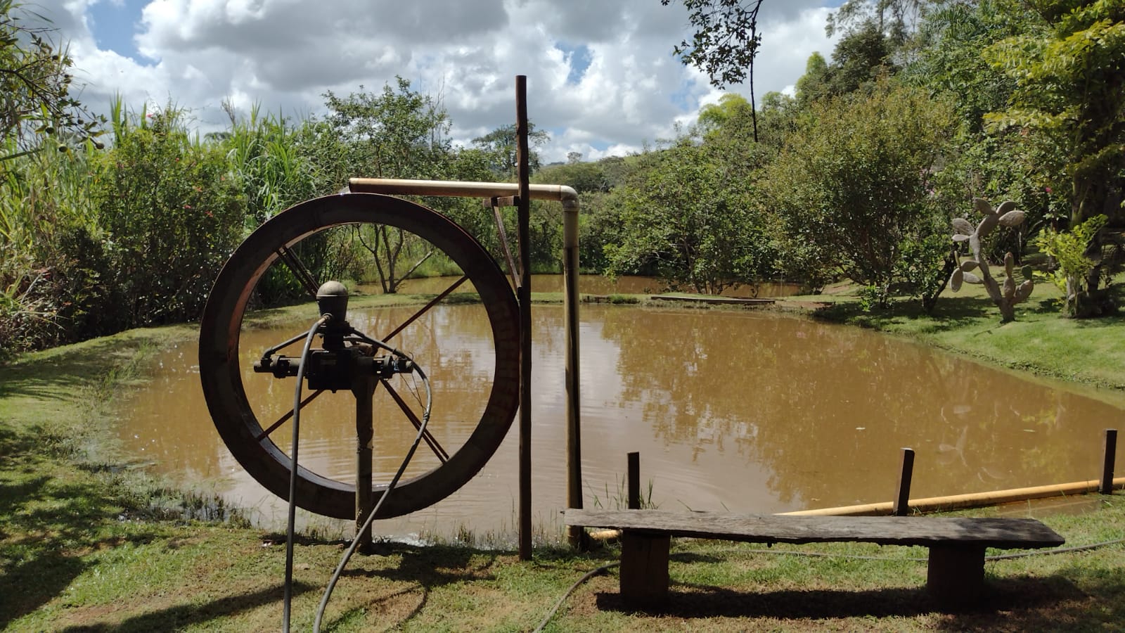 WhatsApp Image 2026-02-16 at 10.31.33