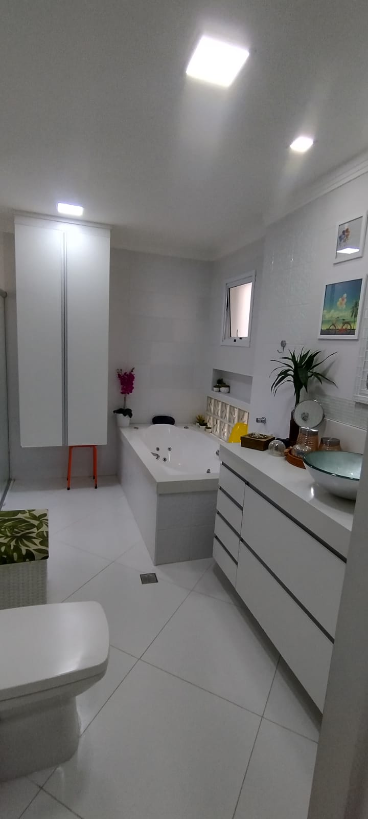 WhatsApp Image 2026-02-10 at 11.00.46