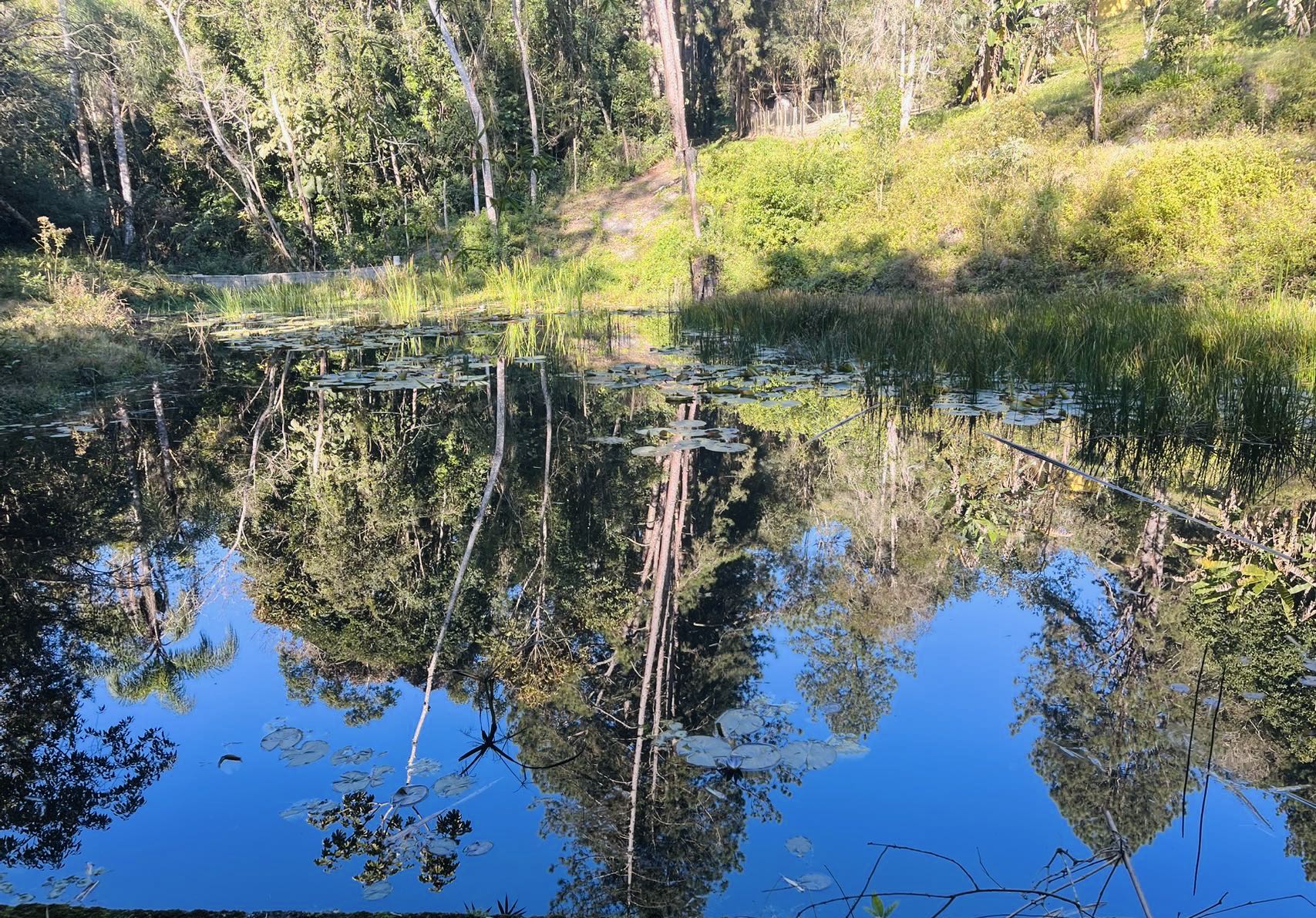 图片_20250818130507_165_263