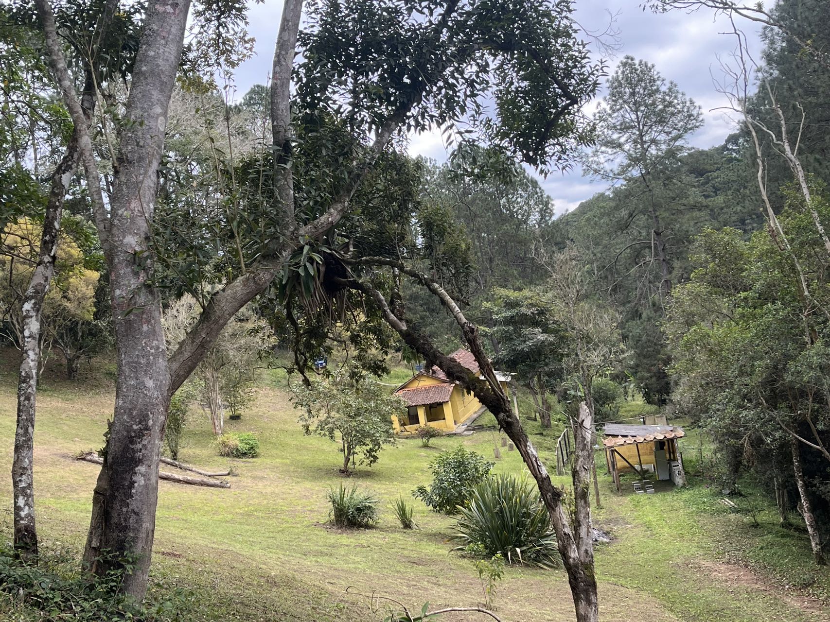 图片_20250818130500_164_263