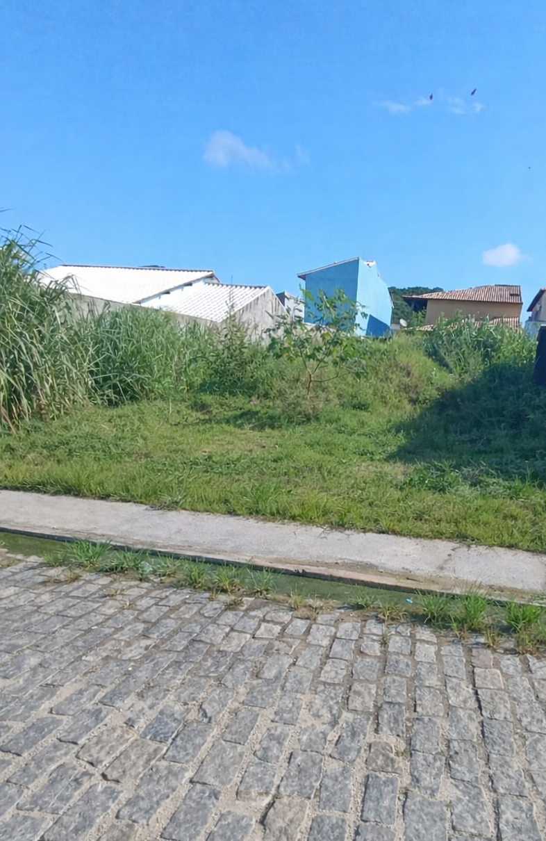 Terreno gramado à beira da rua