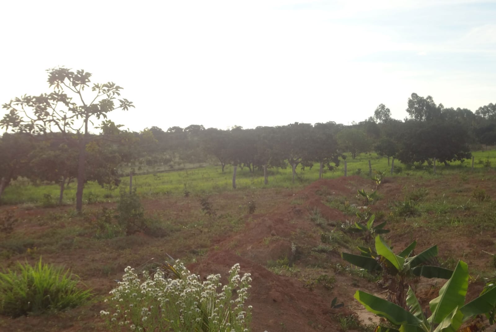 WhatsApp Image 2026-03-06 at 10.25.21 (2)