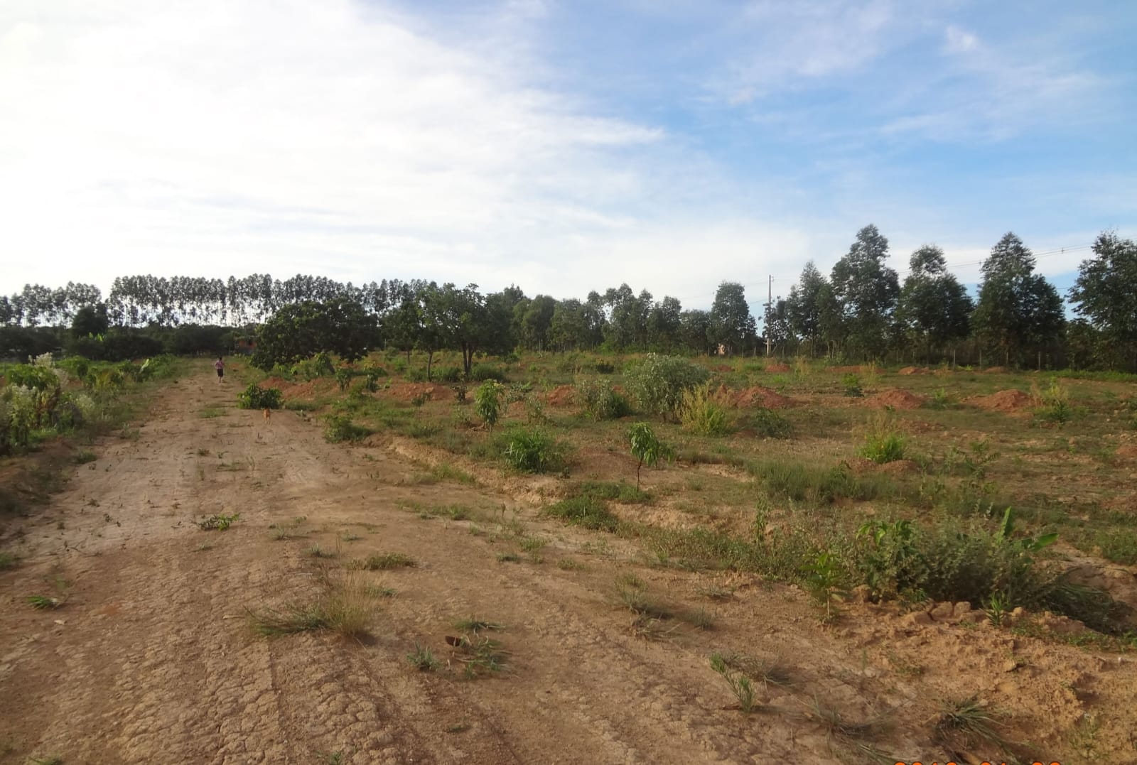 WhatsApp Image 2026-03-06 at 10.25.18