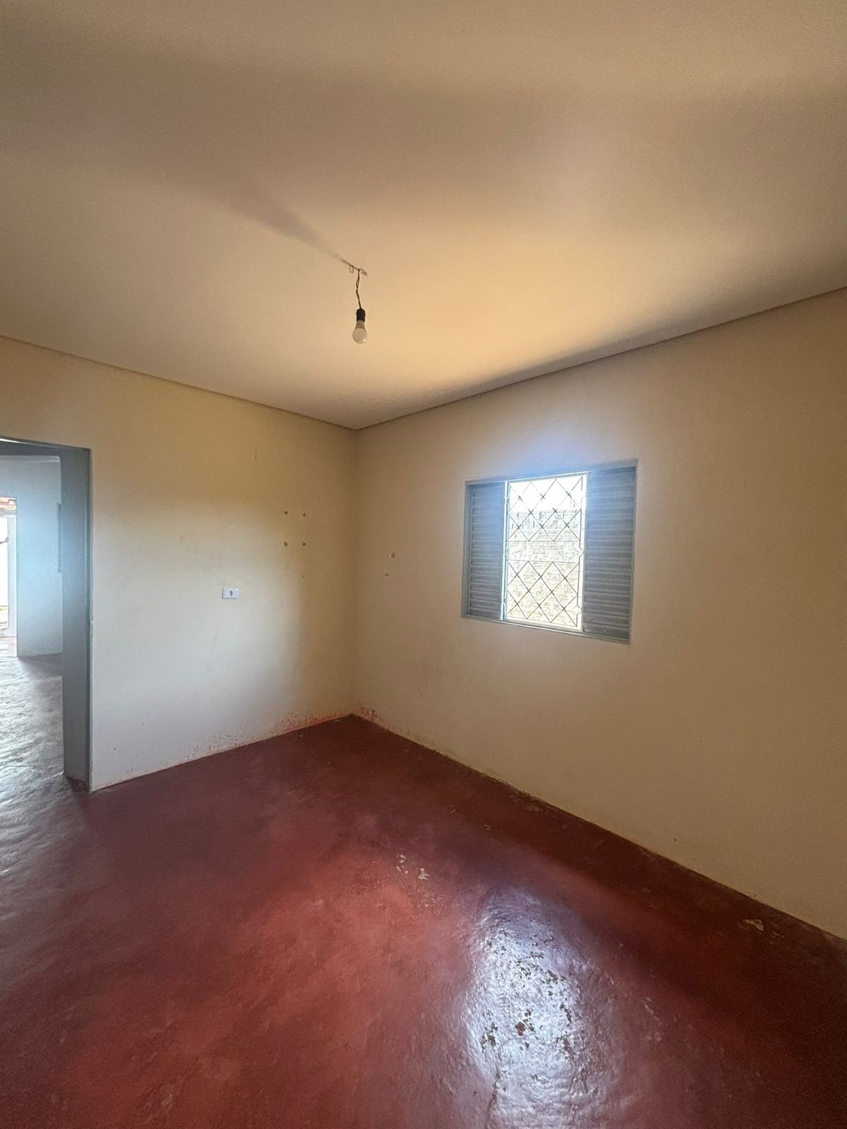 WhatsApp Image 2026-03-05 at 14.29.39