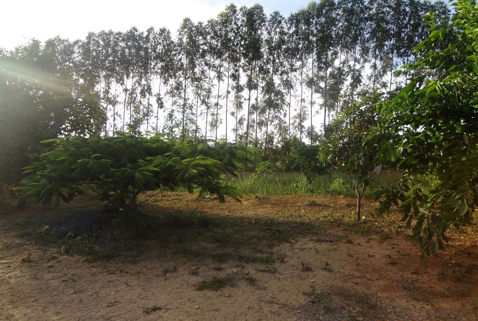 WhatsApp Image 2026-03-06 at 10.25.22