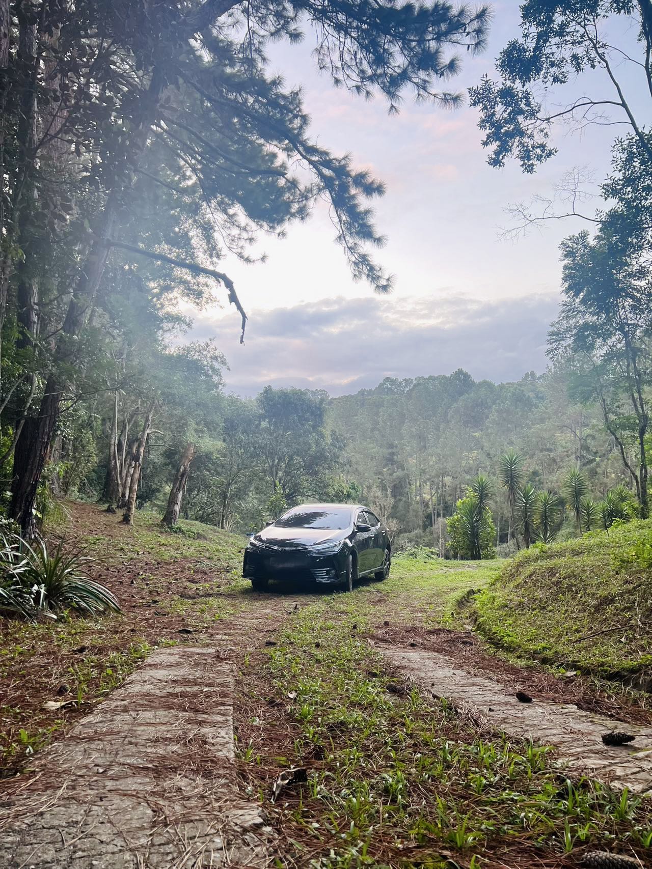 图片_20250818131217_174_263