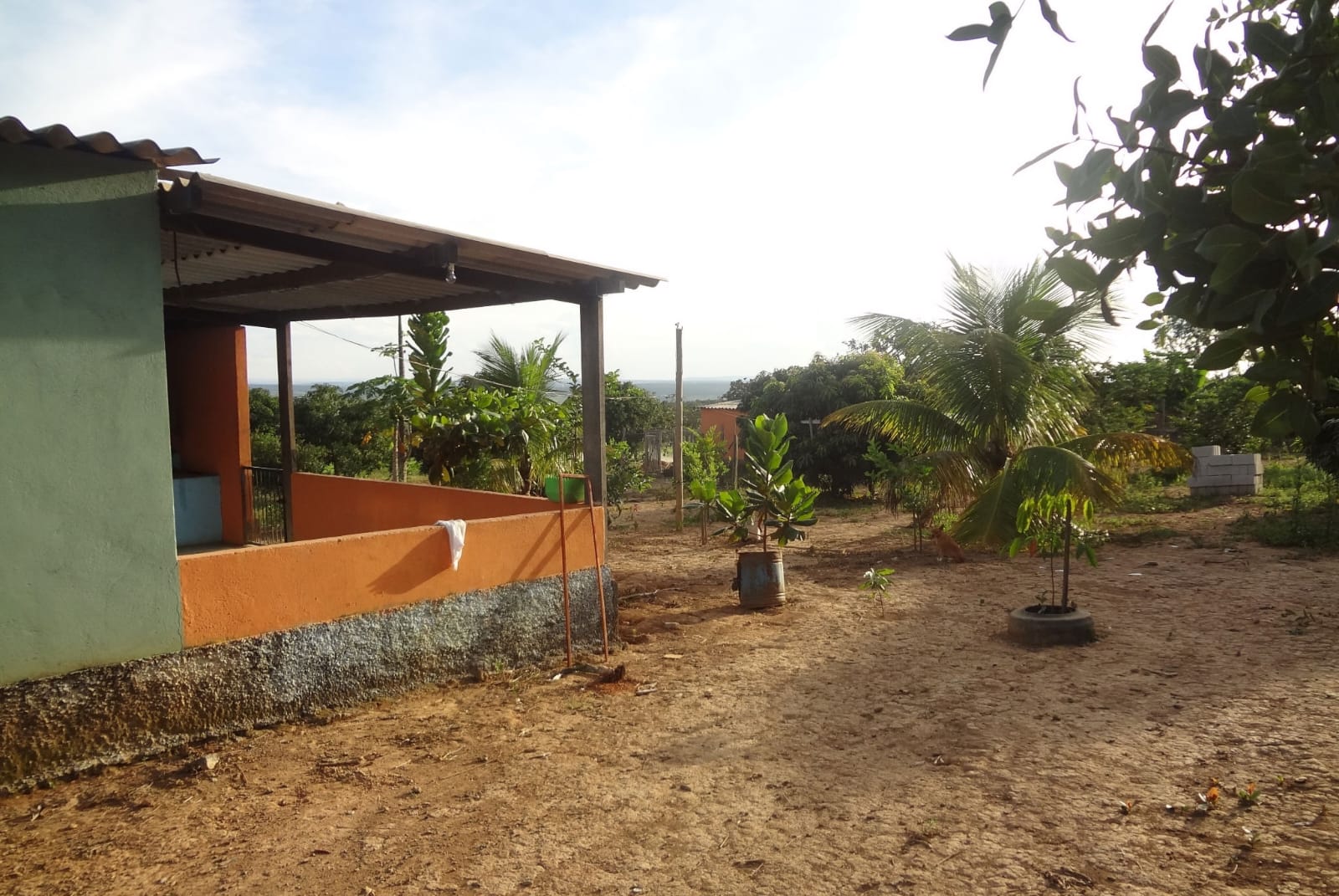 WhatsApp Image 2026-03-06 at 10.25.23