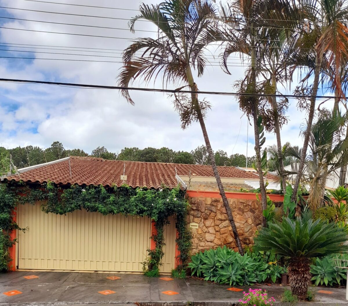 WhatsApp Image 2026-01-06 at 12.13.25