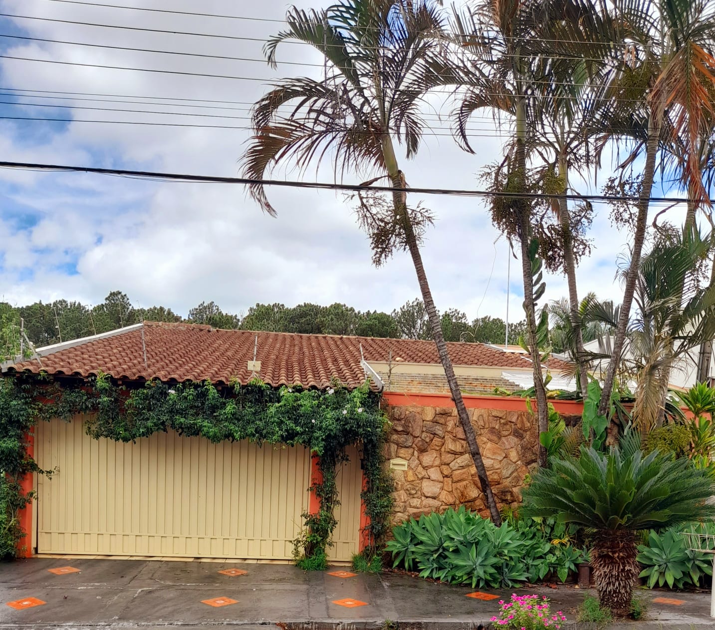 WhatsApp Image 2026-01-06 at 12.13.25