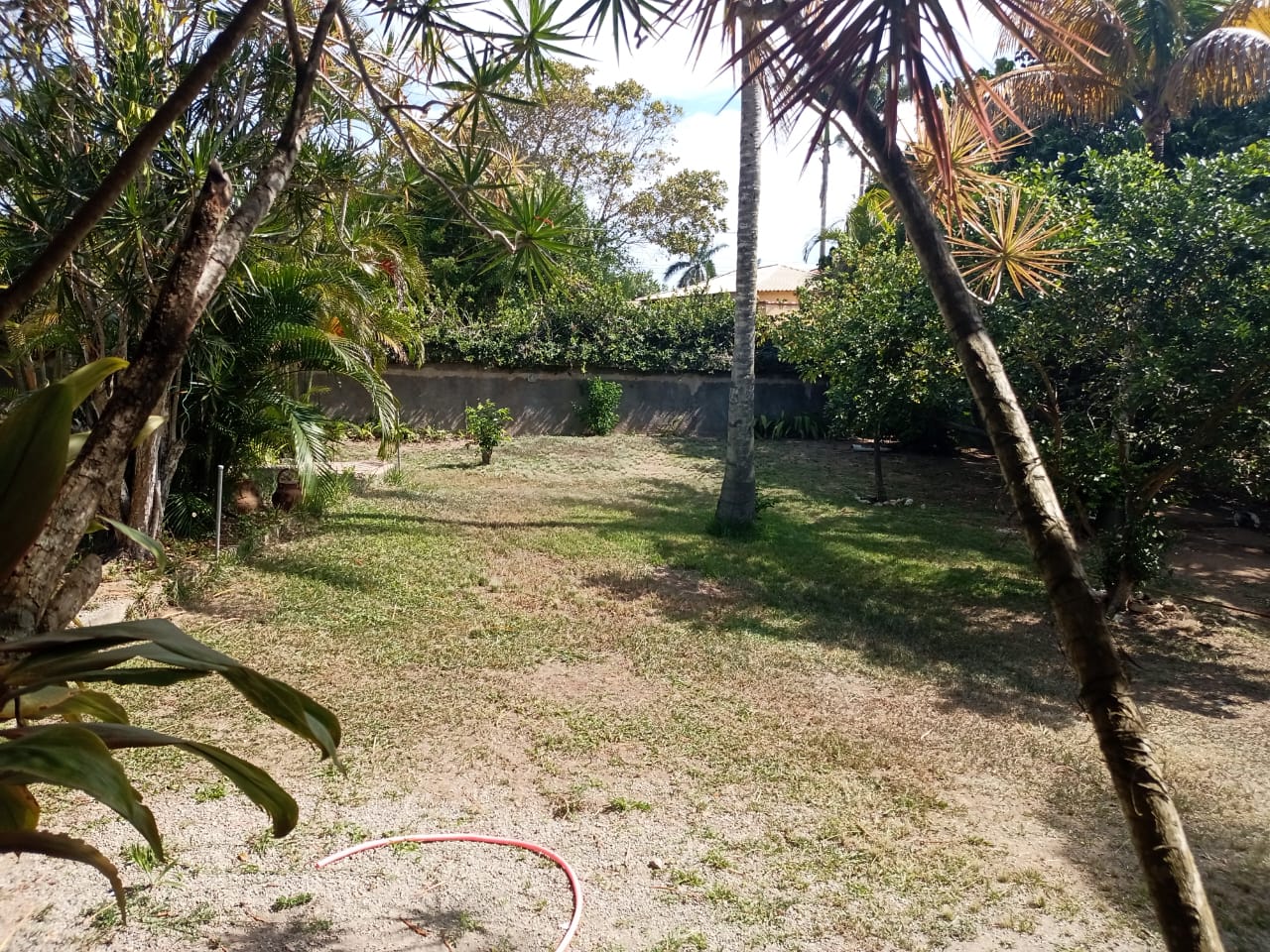 WhatsApp Image 2026-03-06 at 16.30.50 (2)