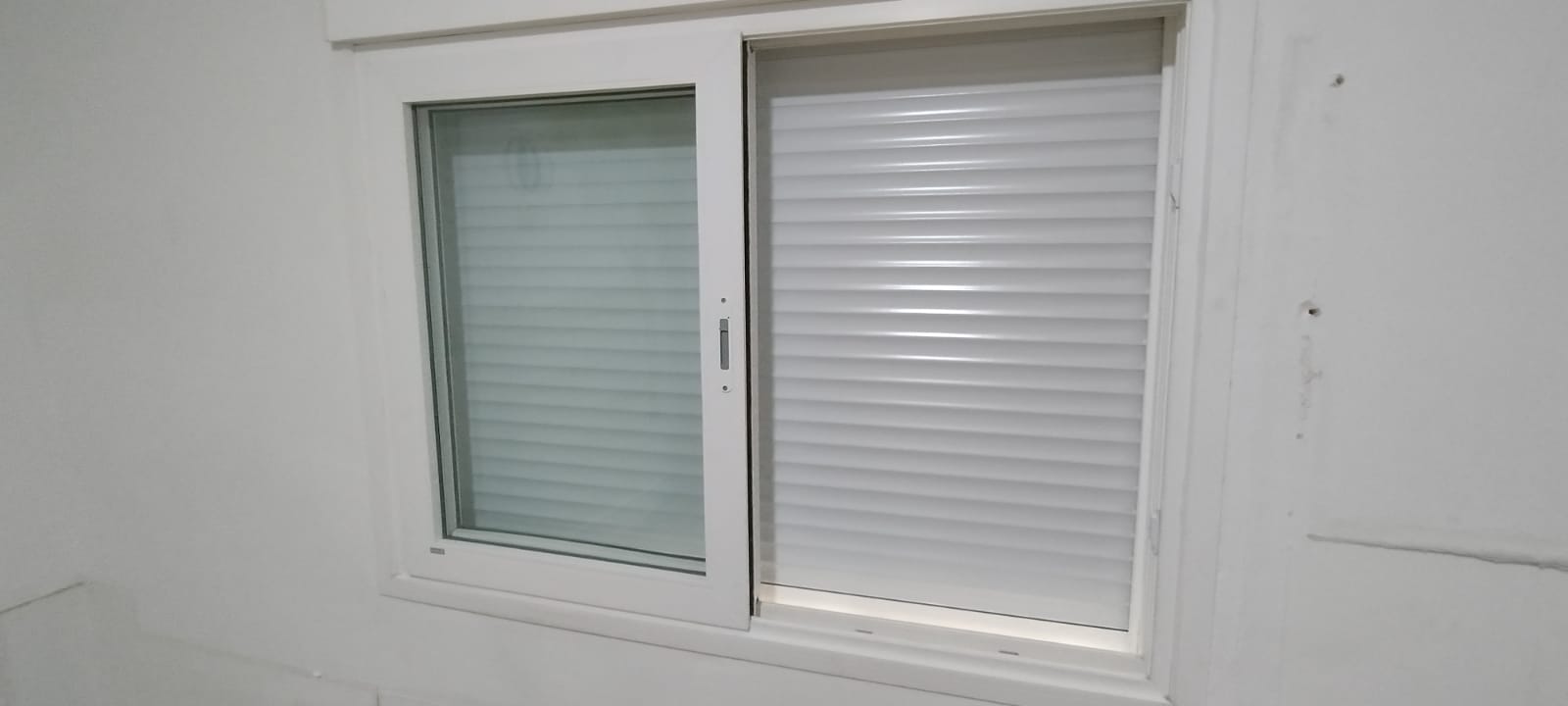 WhatsApp Image 2026-03-05 at 12.07.49