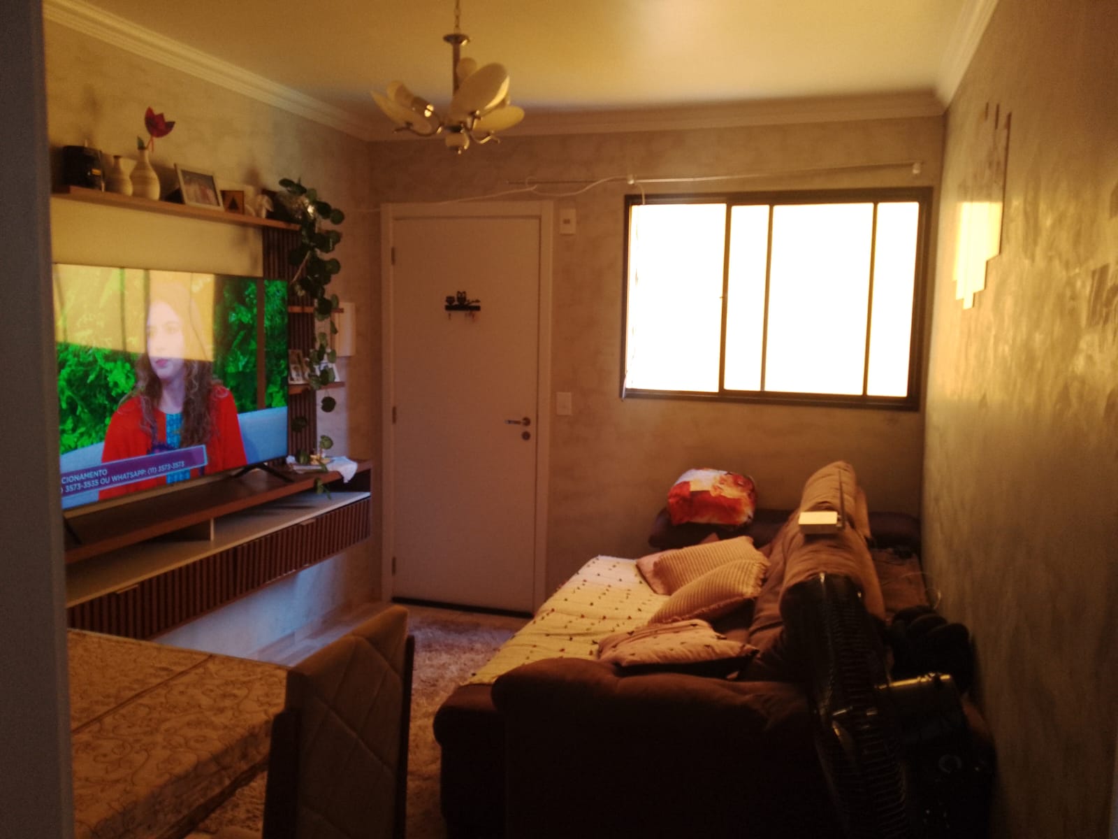 WhatsApp Image 2026-03-01 at 11.47.59 (3)