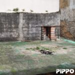 15520a35criacaodesitescrisoft