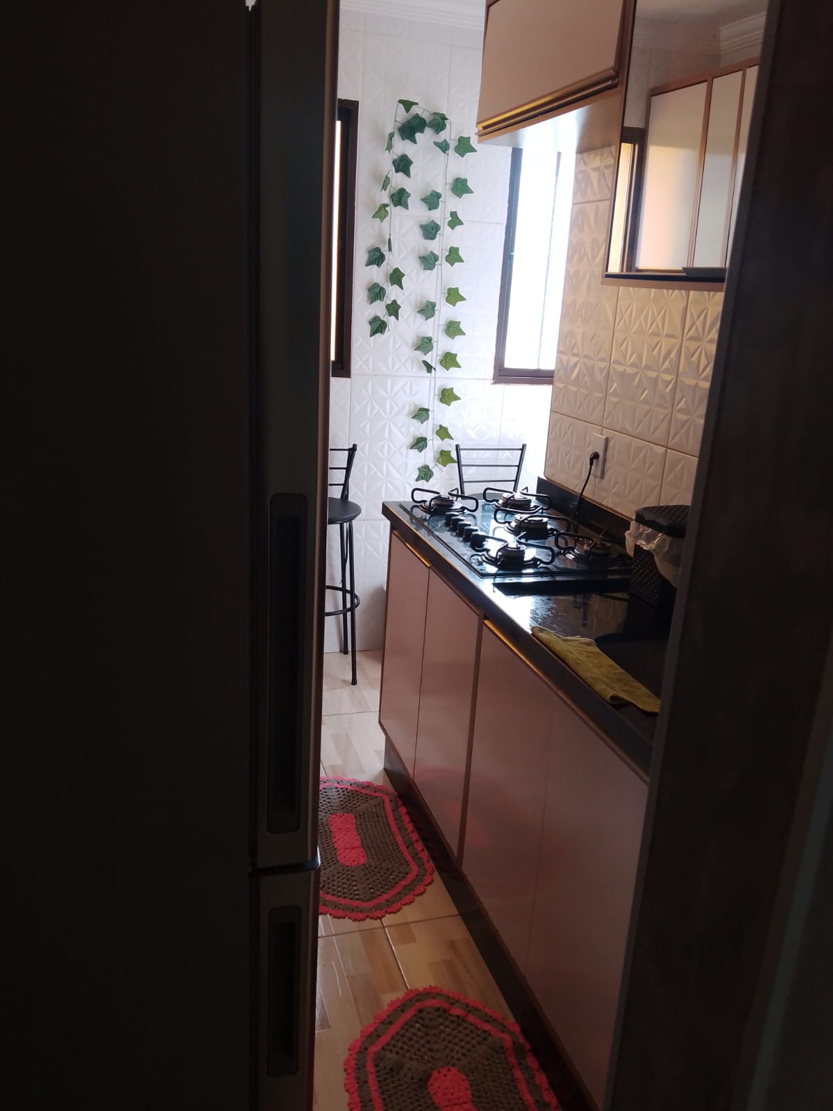 WhatsApp Image 2026-03-01 at 11.47.59