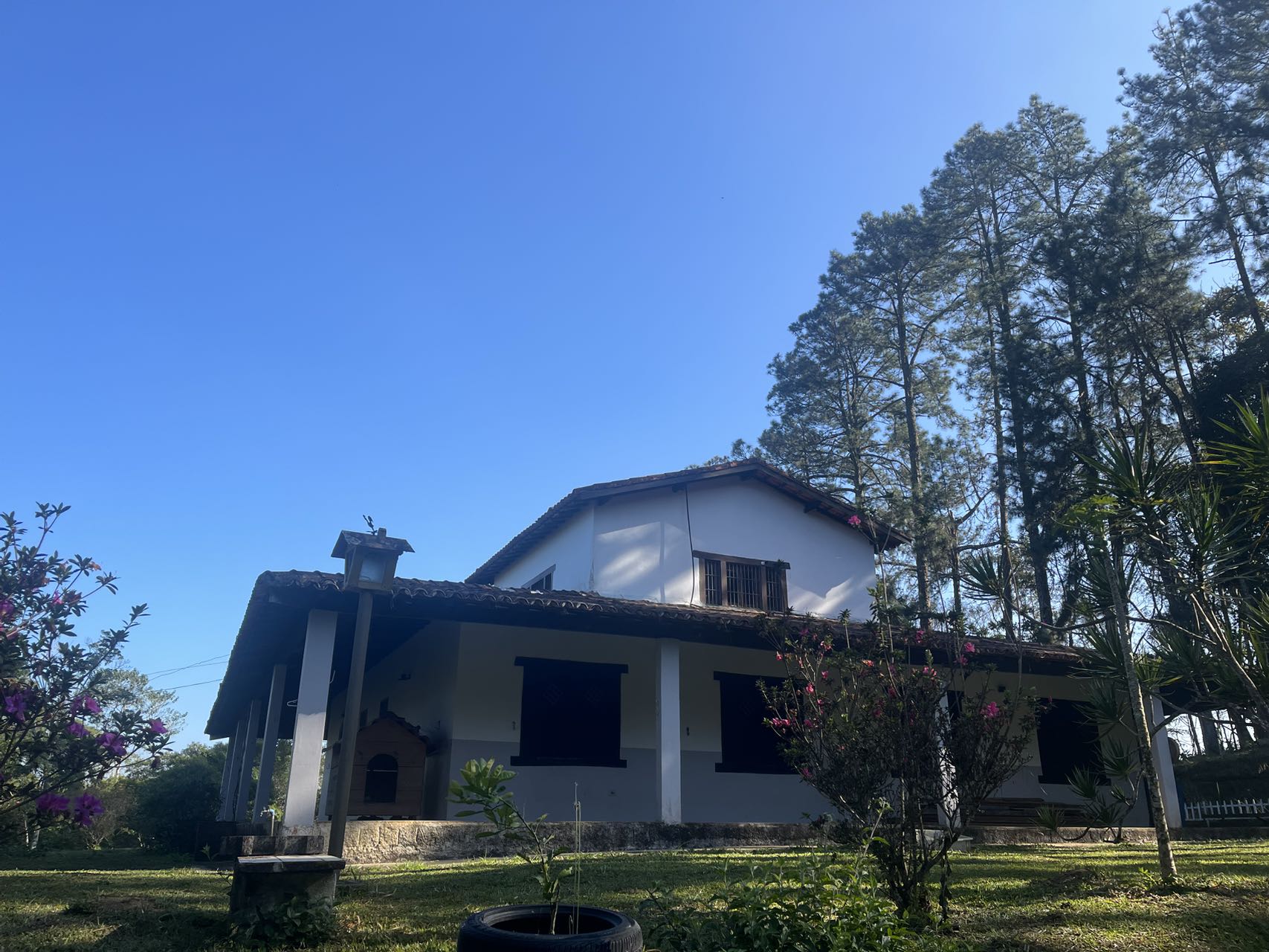 图片_20250818130411_155_263