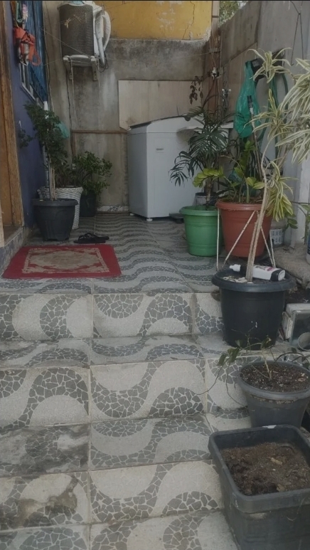 Screenshot_20260220_200528_Samsung Internet