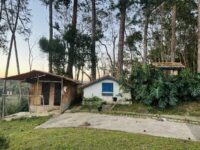 图片_20250818130408_154_263