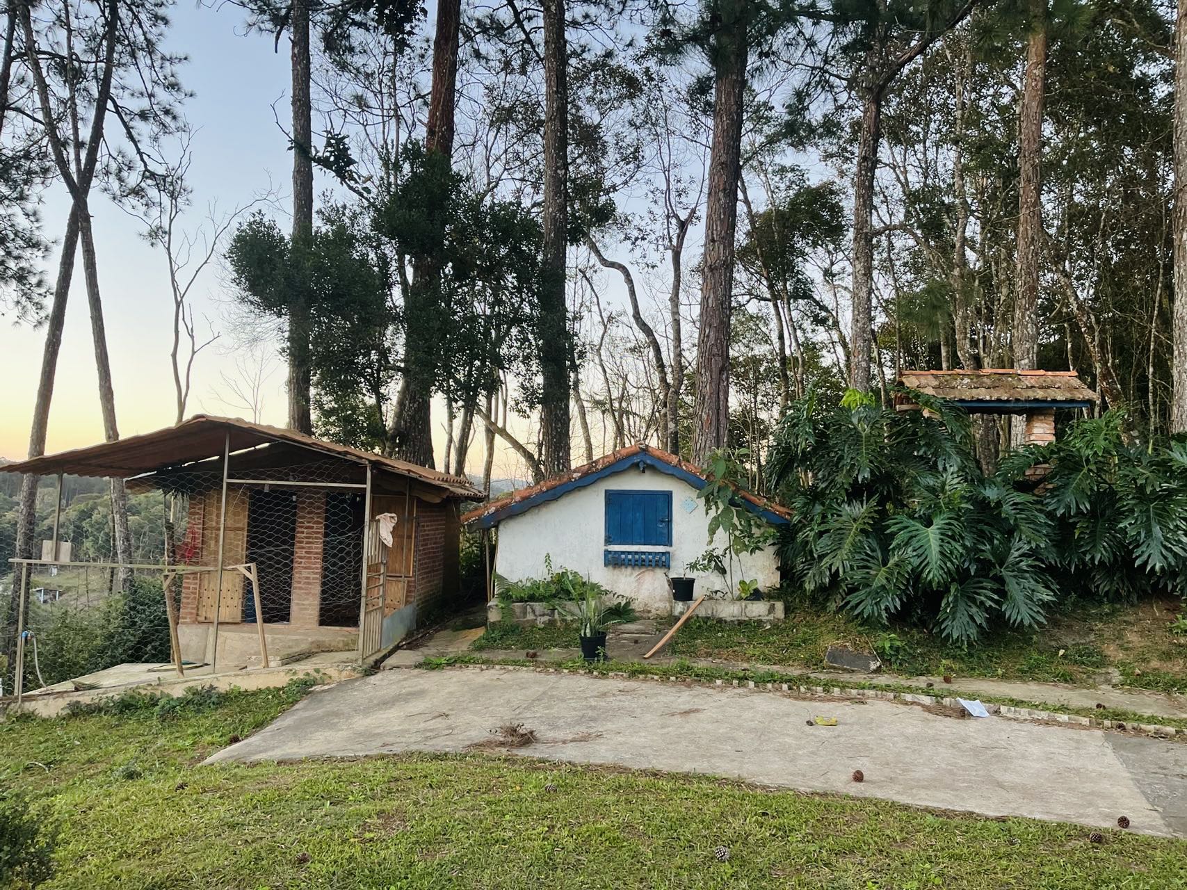 图片_20250818130408_154_263