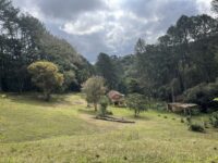 图片_20250818130429_159_263