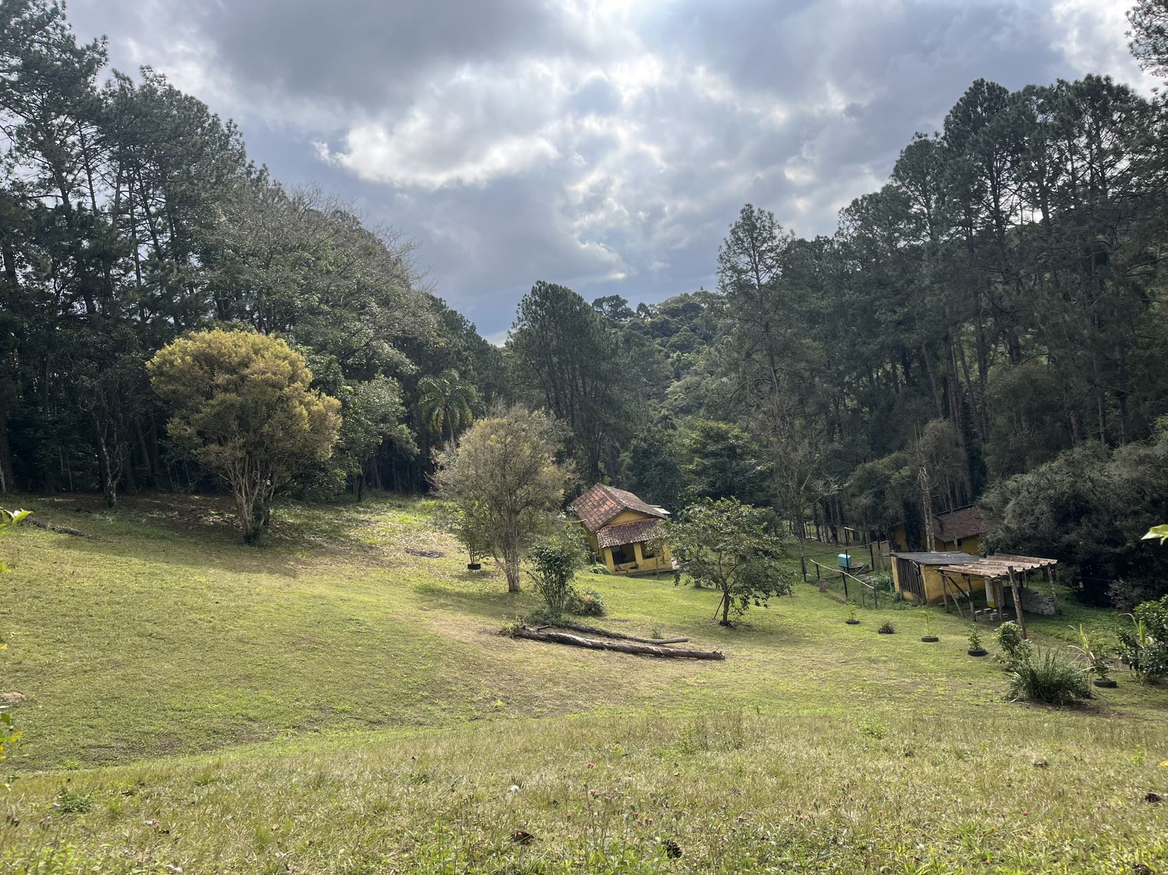 图片_20250818130429_159_263