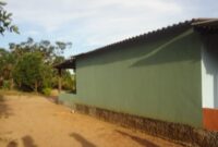 WhatsApp Image 2026-03-06 at 10.25.23 (1)