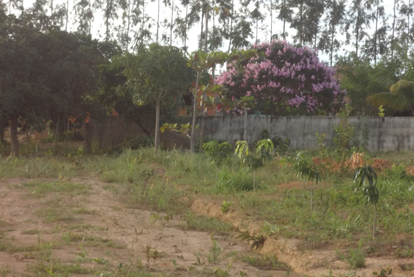 WhatsApp Image 2026-03-06 at 10.25.21