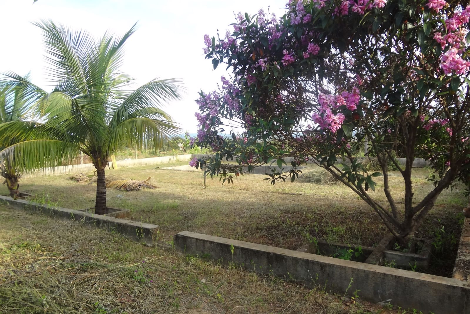 WhatsApp Image 2026-03-06 at 10.25.20