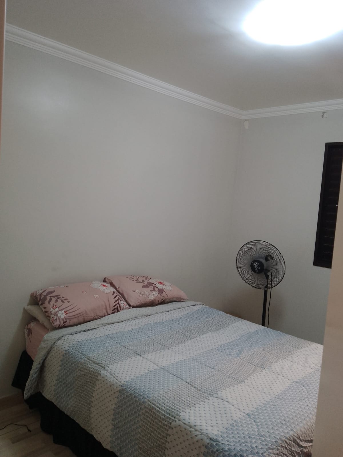 WhatsApp Image 2026-03-01 at 11.47.58