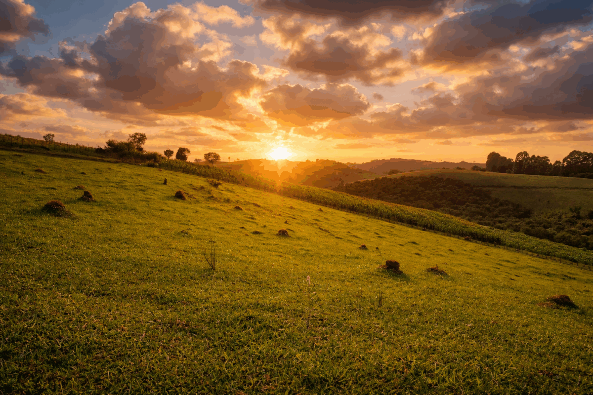 Pôr do sol sobre as colinas verdes