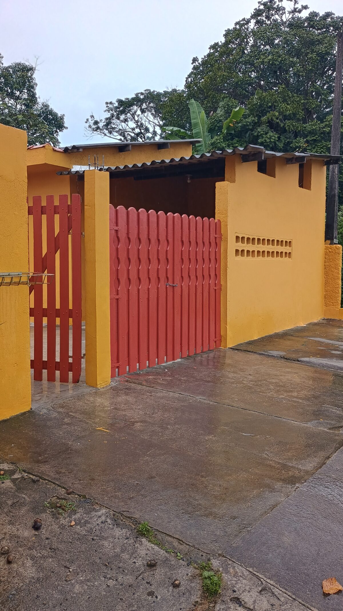 1000361753