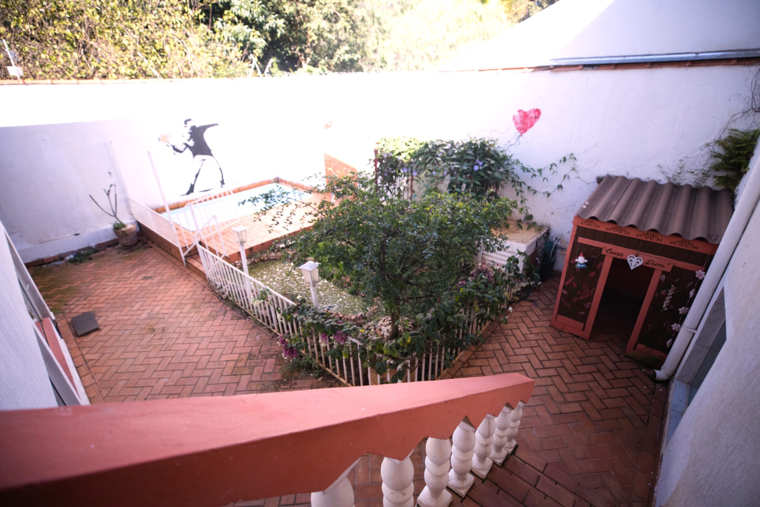 LUZL9792_evoto_edited