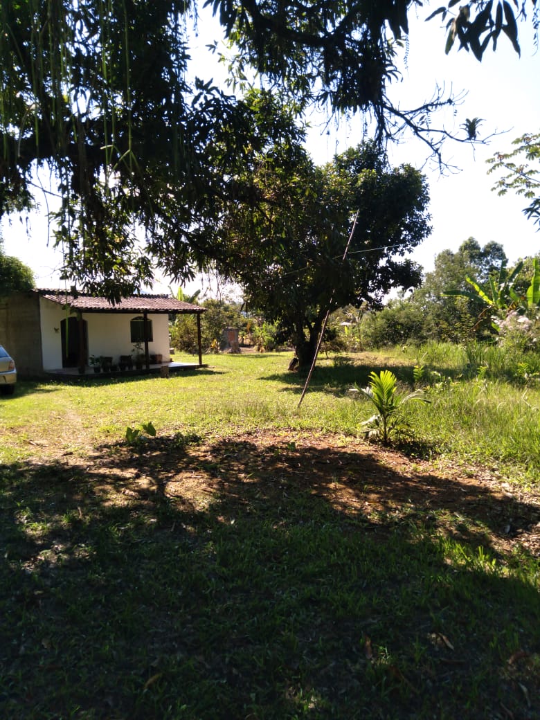 photo10