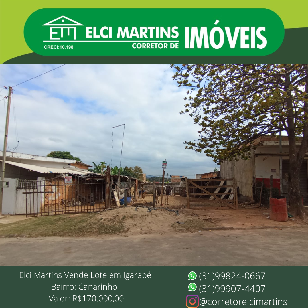 Lote - Canarinho - 170 mil