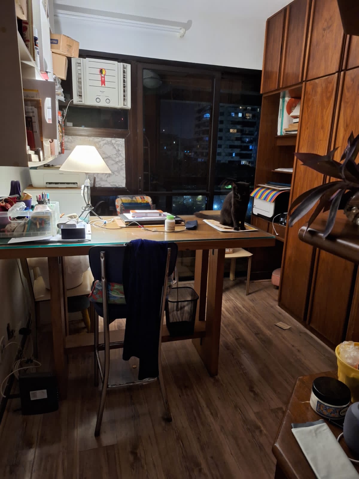 foto 7