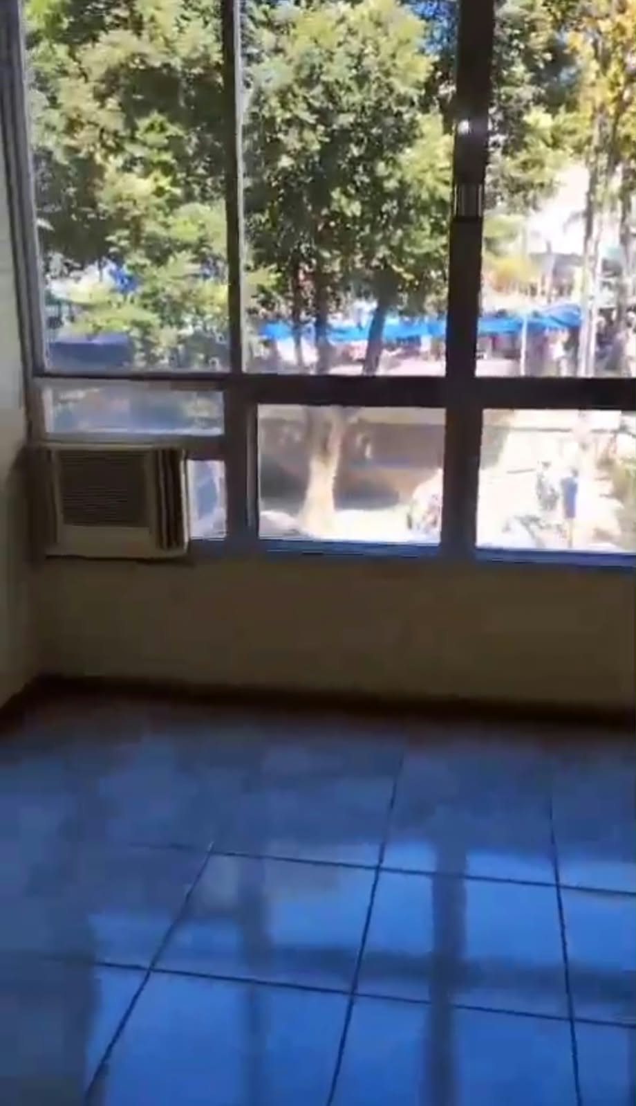 vista
